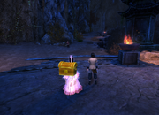Chest Delivery