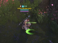 Flower Show (interactive object)