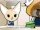FennekowithRet.gif
