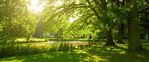 Green spaces banner.jpg