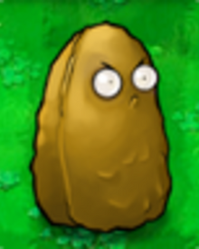 Tall-nut1.png