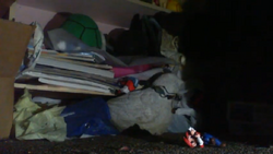 Frame6 1.png
