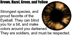 Book1.png