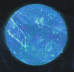 Snapshot 209.png
