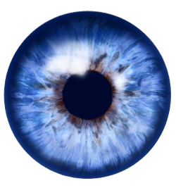 17-174398 blue-eye-3b-blue-iris-png.png