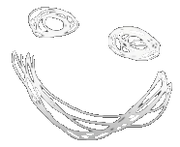 A-200.png
