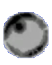 Snapshot 1009.png