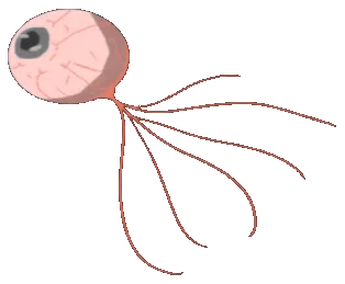 Watcher.png