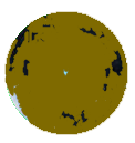 Snapshot 704.png