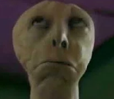 Snapshot 338.png