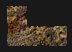 Snapshot 902.png