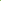Green-chick-hi.png
