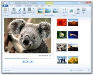 A screenshot of Windows Live Movie Maker. WLMM was uncommon for AGK parodists.