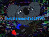 TheUnknownKoala4545