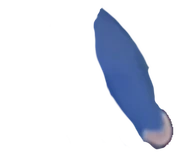 Leopold arm by silver Panther 2000