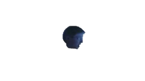 Leopold's Head.png (20 KB) Leopold's Head made by UsefulVideos (No Credit needed for the head)