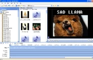 A screenshot of Windows Movie Maker.