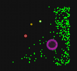 Secret Room 1.png
