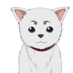万事屋銀ちゃん 銀魂 Wiki Fandom 万事屋銀ちゃん 銀魂 Wiki Fandom