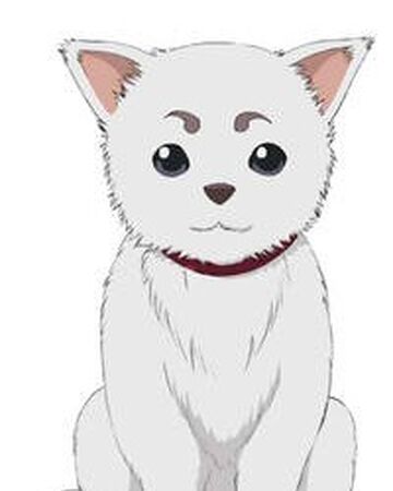 定春 銀魂 Wiki Fandom 定春 銀魂 Wiki Fandom