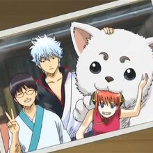 万事屋銀ちゃん 銀魂 Wiki Fandom
