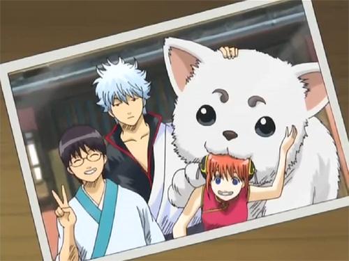 万事屋銀ちゃん 銀魂 Wiki Fandom 万事屋銀ちゃん 銀魂 Wiki Fandom