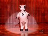 Holy Cow