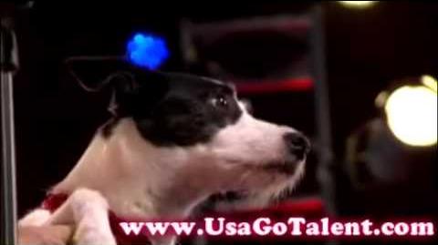 America's Got Talent - Houston & Miami Season 4 Episode 4 Part 2
