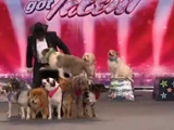 Bert & Frannie Davis & The Muttley Crew