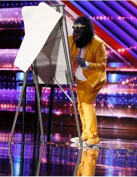 Harrythegorillagician