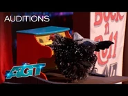 Audition