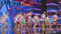 Coronadocougarettes