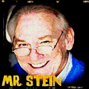 MrSteinS2P
