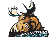 Manitoba Moose