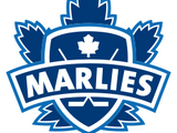 Toronto Marlies