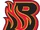 Bloomington Blaze