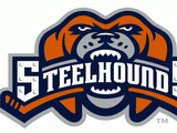 Youngstown SteelHounds