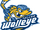 Toledo Walleye