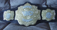 Uwcaug1(MD Heavyweight Championship)