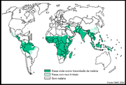 Malaria-Resumo-da-Doenca-2