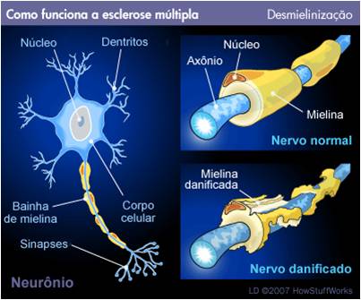 Imagem2