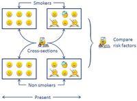 Cross Sectional Study