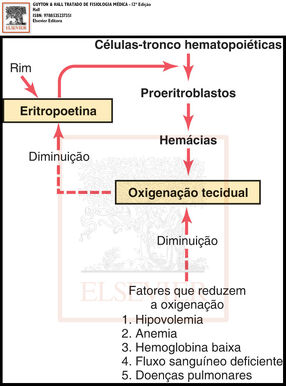 Figura32 4