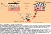 A03fig01