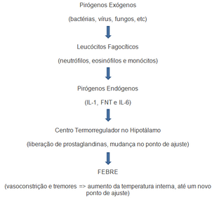 Esquema febre