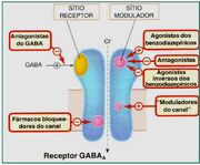 GABA