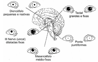 Neuro9