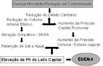 Edema - tipos e exemplos