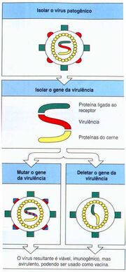 Deleção