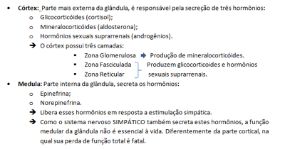 RESUMO SUPRARRENAL